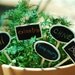 Herb Plant Chalkboard Pot and Garden Markers - Set of Five
