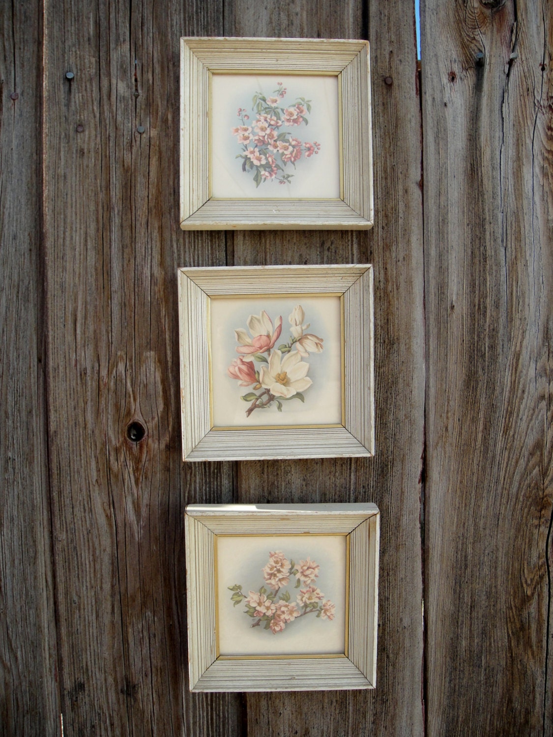 Shabby Chic Floral Framed Prints, Vintage Set of 3 Floral Decor