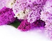 1/3oz Natural Lilac Perfume Oil, Fragrance Oil in Roll-on Bottle