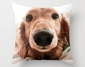 Dachshund, Dog Photograph 16" x 16" Throw Pillow Cover - Photography, Doxie, Dach, Doxies, Weiner, Sausage, Whimsical, Puppy, Bright, Home