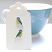 Hand drawn Blue Tits. Bird Earrings