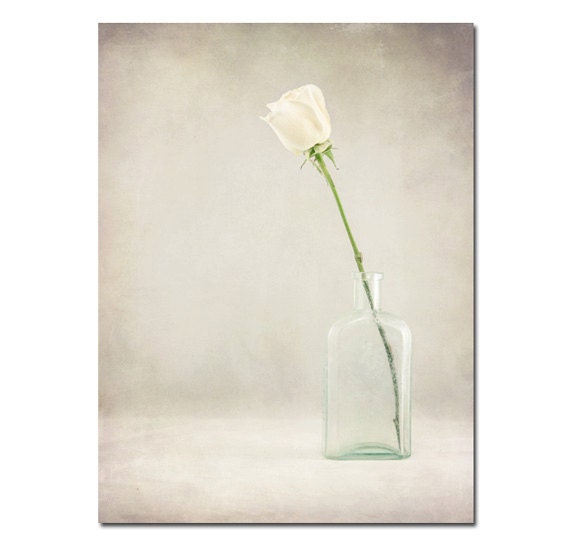 Vintage Rose I, 8x10 Fine Art Photography Print, flower photo, apothecary bottle, still life, home decor - SuzanneHarfordPhoto