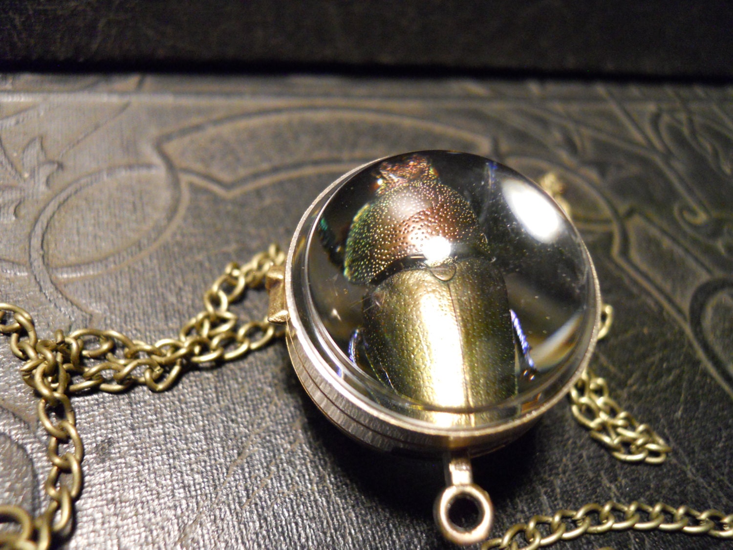 Green Female Beetle Ossuary Orb Lamprima Adolphinae Bronze Necklace