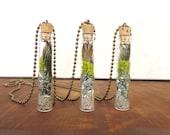 I Cannot Live Without You...Tiny Live Terrarium Pendant Lichen Moss Magic Little Terrarium Necklace