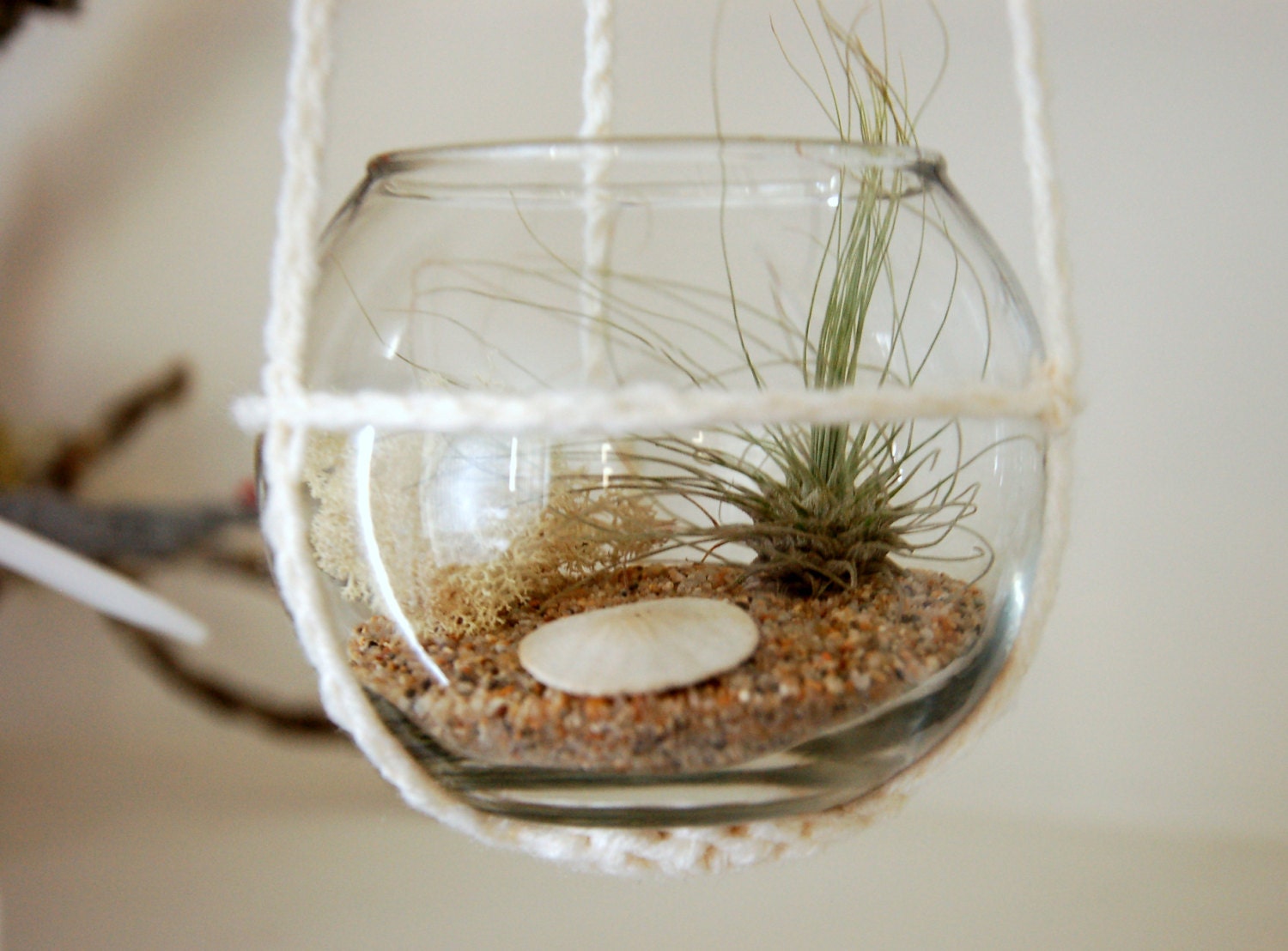 Simple Beach Theme Hanging Terrarium with Handmade Strap - Home Decor, Air Plant, Everything You Need, DIY Kit