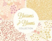 blossoms & blooms pattern collection - vector file