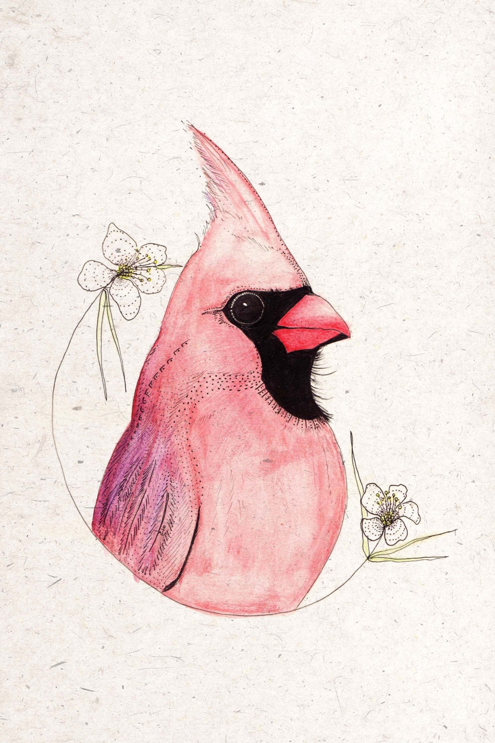 mr cardinal - original illustration, pen, ink, watercolour