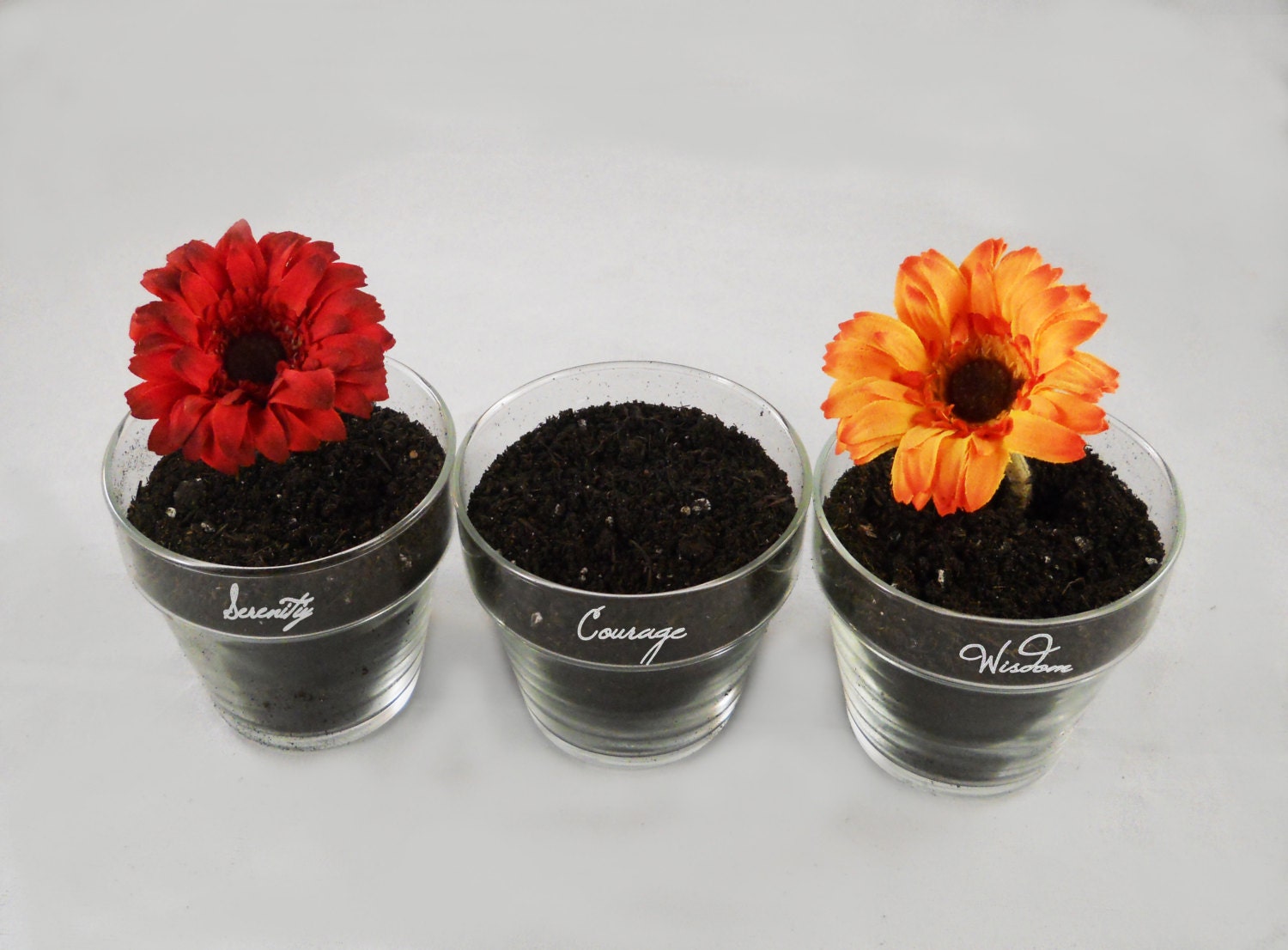 Serenity, Courage, and Wisdom - Custom Glass Flower Pots (set of three)