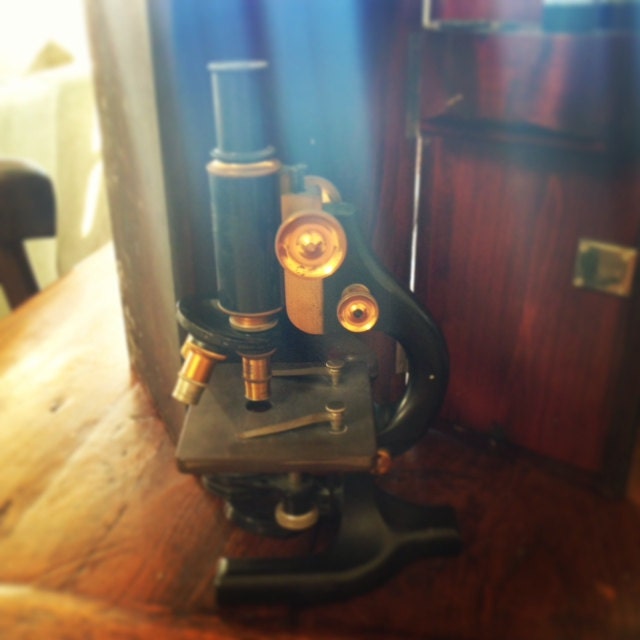 Antique Brass Spencer Microscope with original case