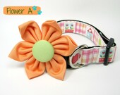 Mini Patch Pastel Pink Flower  Dog Collars with Flower set  (Mini,X-Small,Small,Medium ,Large or X-Large Size)- Adjustable
