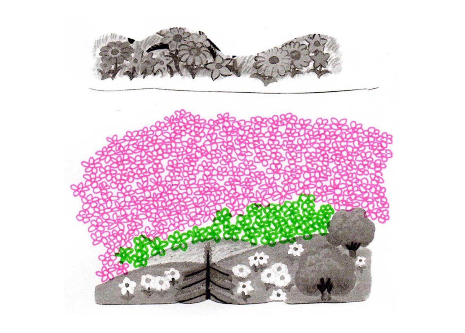Floral field spring illustration flowers landscape leaves collage illustration a4 print. digital archival art print.