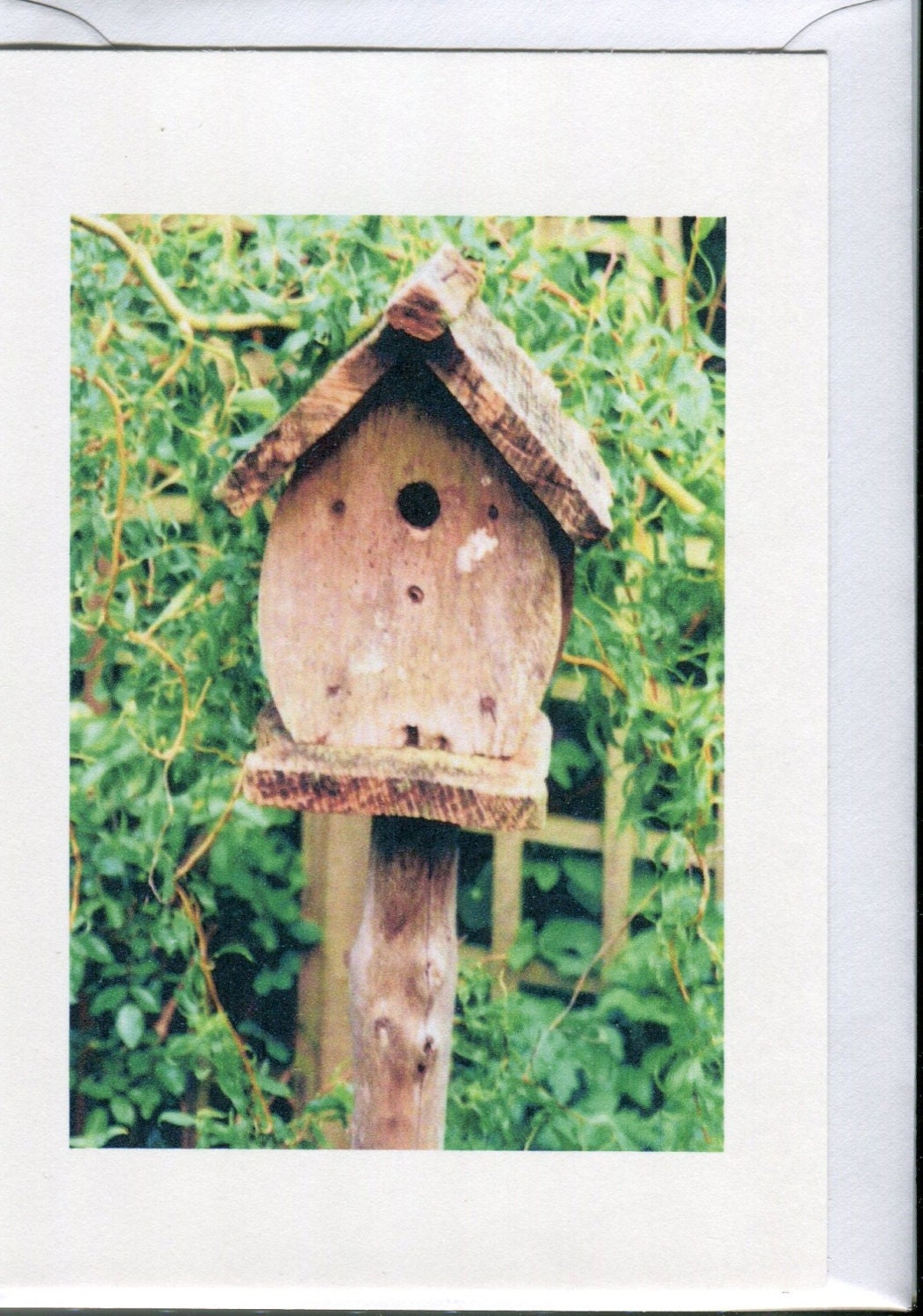 Bird house- card handmade from an original photograph.