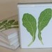 Mixed Greens Set of 4 Hand-carved Linocut Letterpress Cards