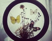 Vintage 1970's dried flower and butterfly specimen framed wall hanging