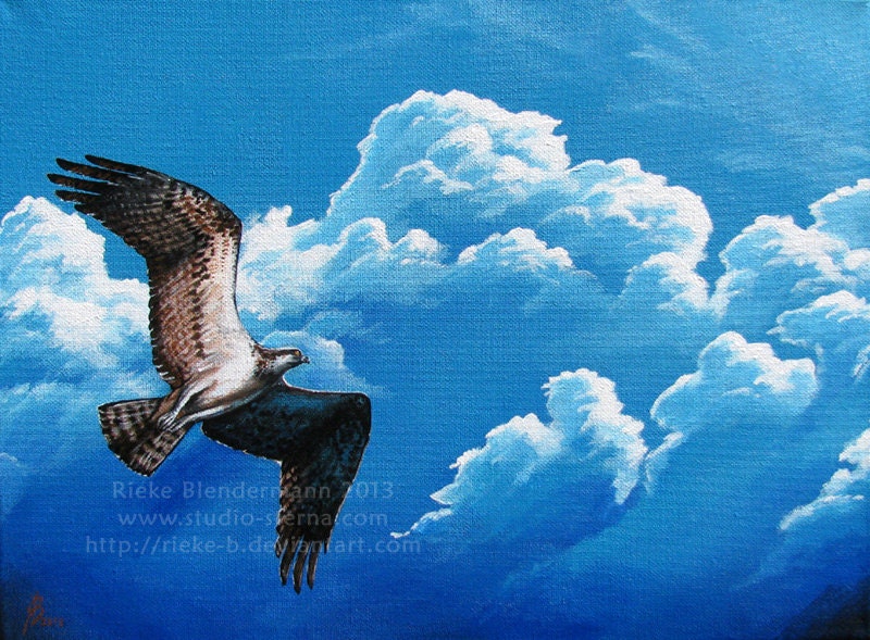Original acrylic painting osprey 30x40cm 16x12 inches signed varnished eagle bird animal sky clouds