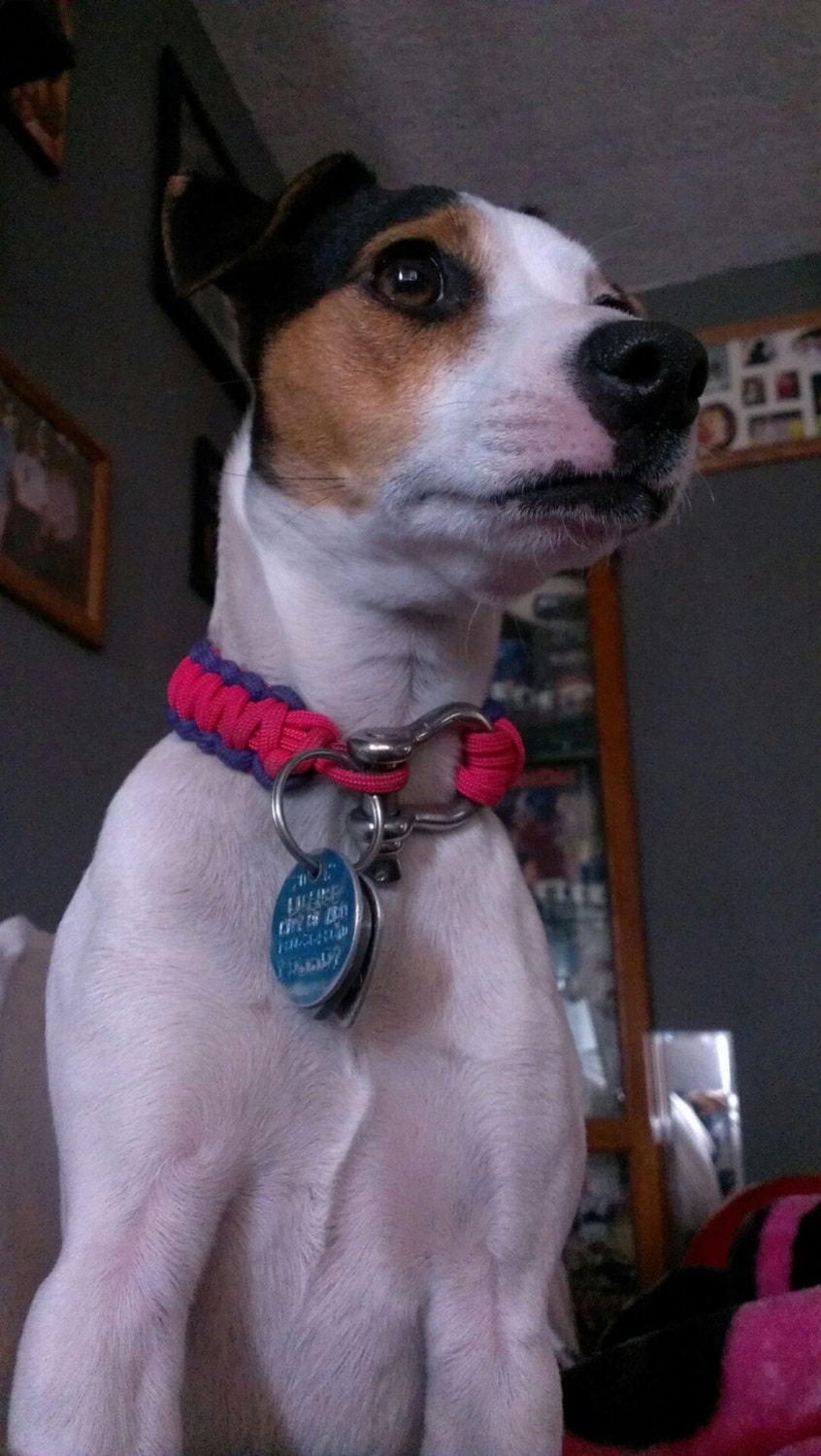 Paracord Dog Collar