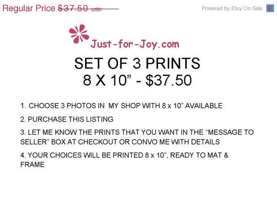ON SALE Set of 3 prints, 8x10, AffordablePhoto Wall Art, Unique Wall Decor, Ready to frame