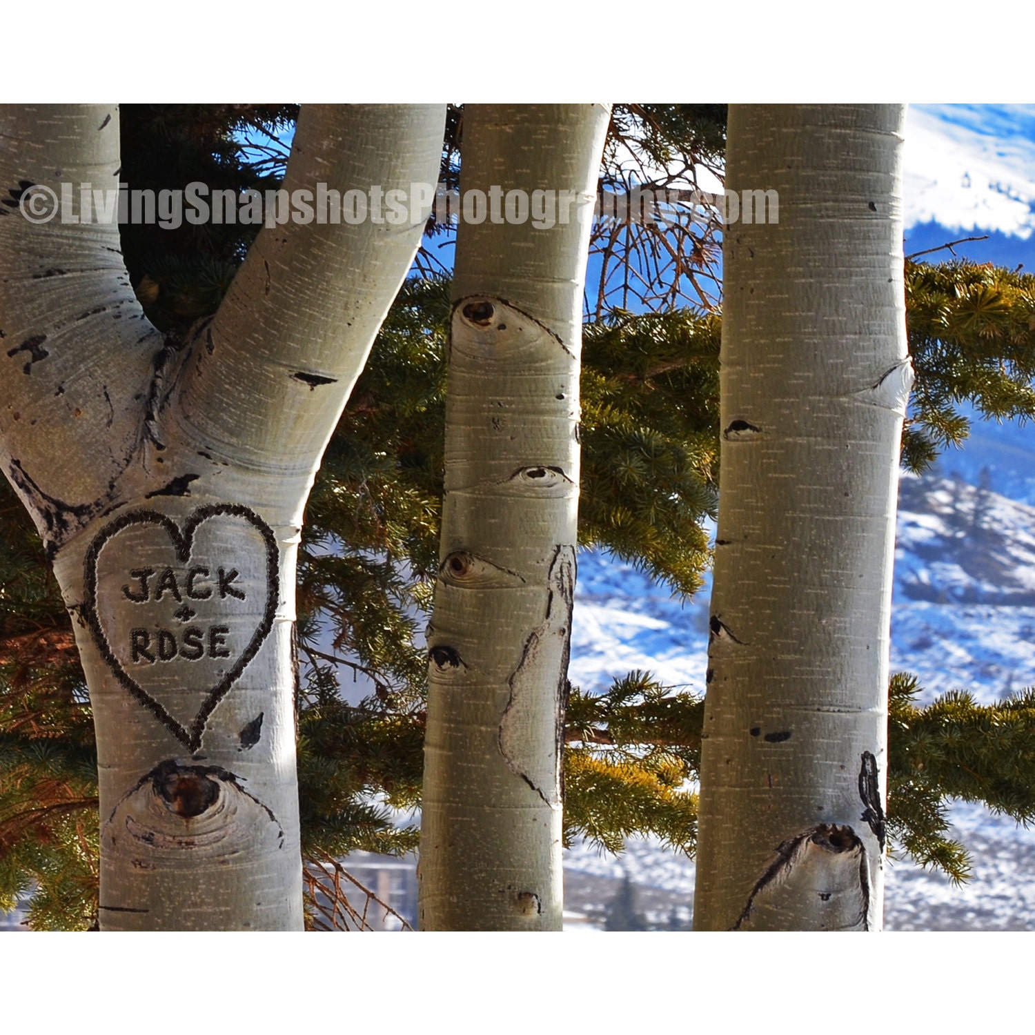 Personalized heart carved tree art, WEDDING Gift, 8x10, customized carved tree with couples names -