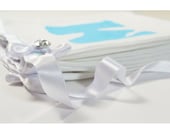 White Lace Powder Blue Wedding MR & MRS banner
