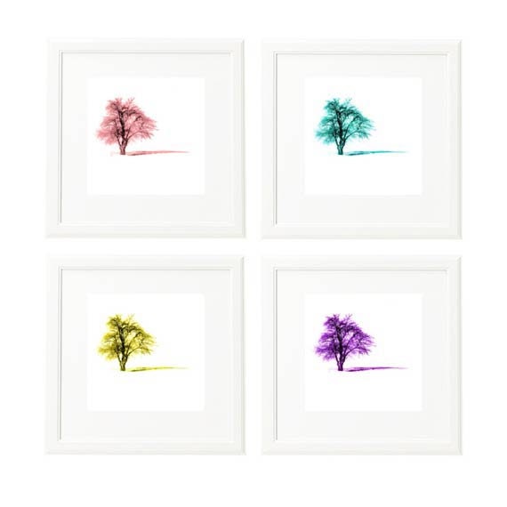 Four print Set, Four 6''x6'' set, Four tree print, four color, nature photography, tree photography, wall art, home decor, gift ideas