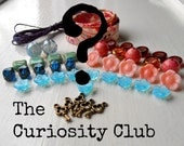 The Curiosity Club - 6 months - Monthly Bead Club