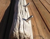 Driftwood Coat Hanger