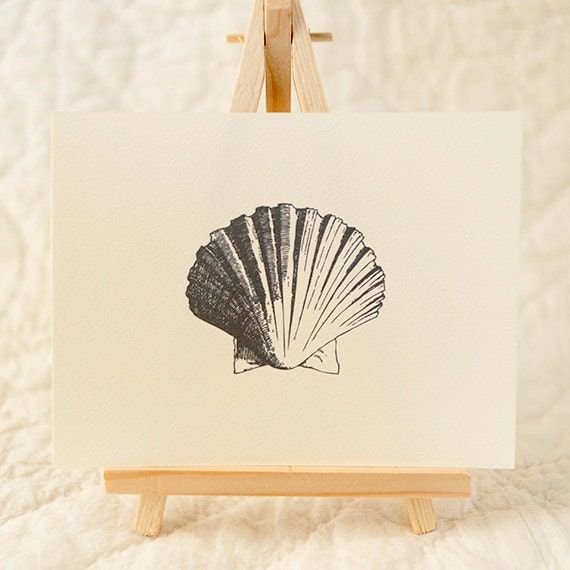 Seashell Note Card Set - 8 notecards with envelopes, natuical ocean theme with shells, seahorse, starfish vintage illustrations