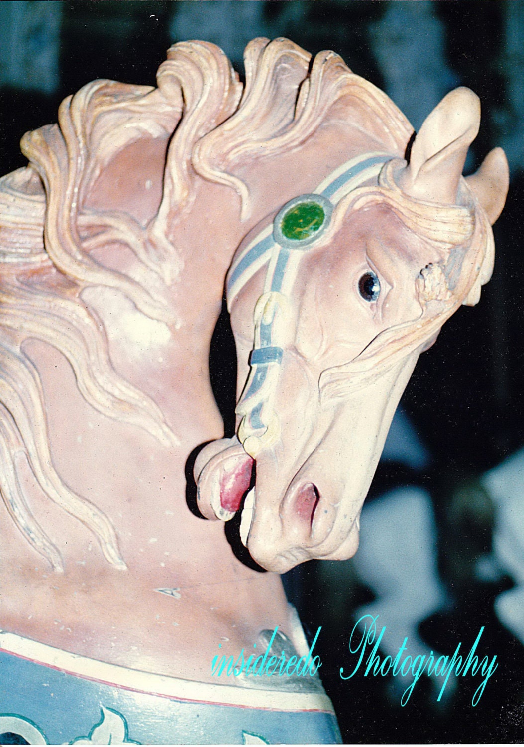 Looff CAROUSEL HORSE..Rhode Island..8 x 10 Photograph/Photo Print, ..Artist Signed Wall Decor..FREE Ship..images