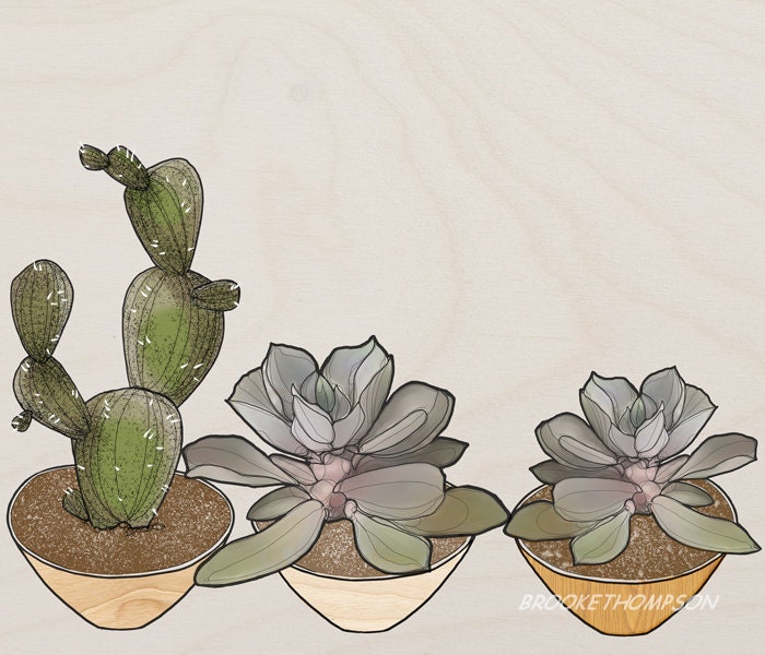 Illustration - CACTUS & SUCCULENTS - Mini Print