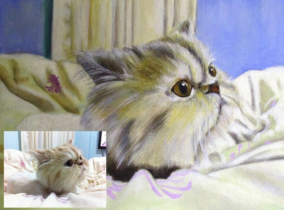Custom Pet Portraits - Original Oil Painting Art - White Cat - Size 6" x 8"