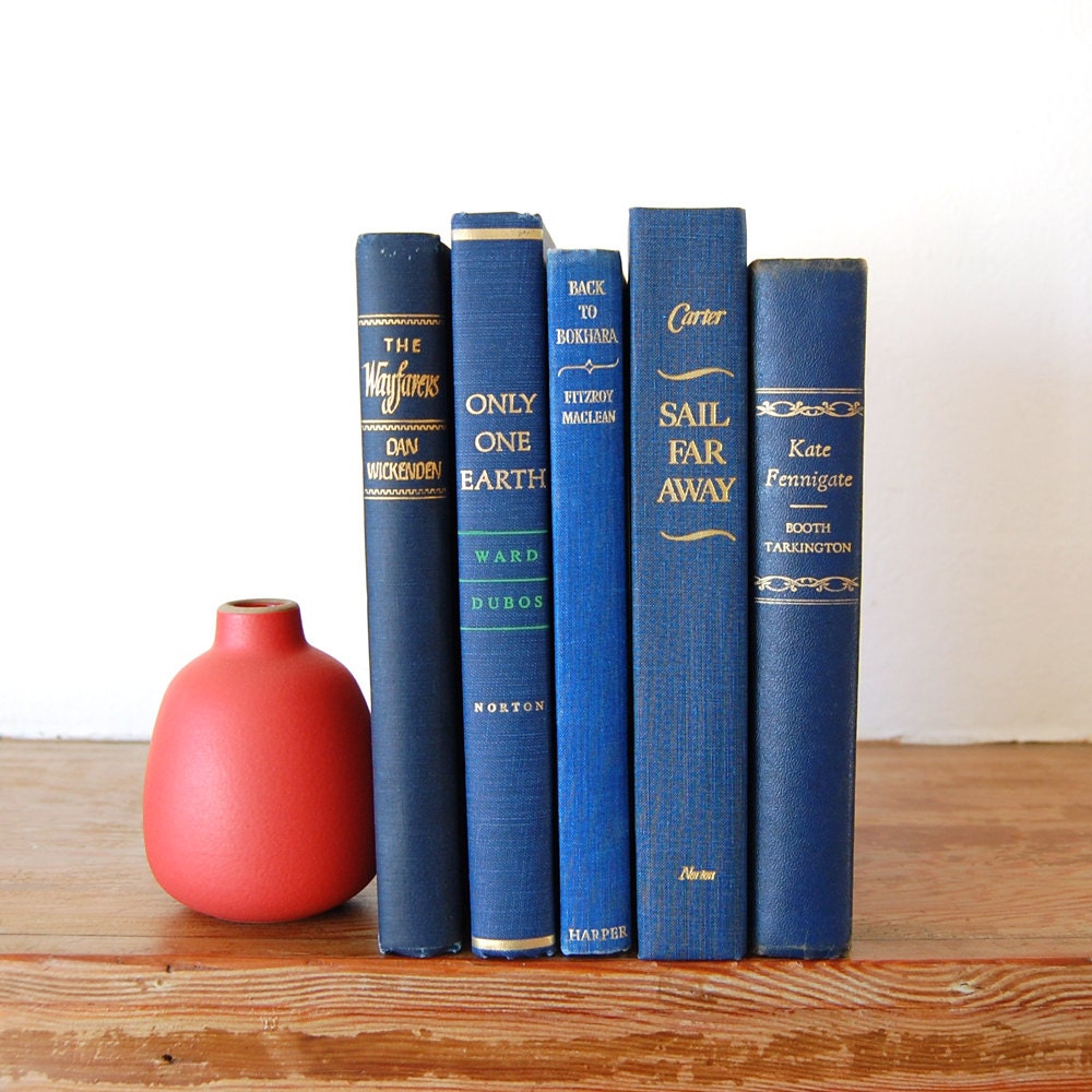 on sale / 20% off / blue vintage books / navy & gold 5 book collection - GeneralTaxonomy