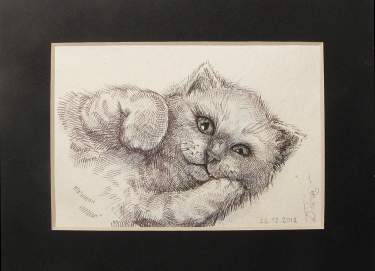 Original Scottish Cat Kitten Pen Drawing Paper Framed ACEO