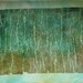 Abstract wall art Can't See The Wood For The Trees