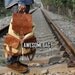 CANVAS bag BACKPACK Superior Genuine Cow Leather Briefcase / Messenger bag / Laptop bag / Men's leather Bag(M314)
