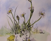 Ink and Watercolor Dandelions, Whimsical Original Nature Painting.