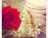 Candied Rose Sugar Scrub