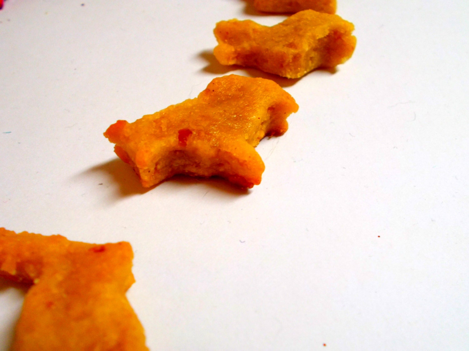 Circus Animal Cookie Treats by LSM Creation - Unsalted Peanut butter and Apple Dog Treats
