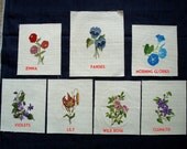 Floral Cross Stitch Set: Zinnias, Pansies, Morning Glories, Violets, Lily, Wild Rose, Clematis
