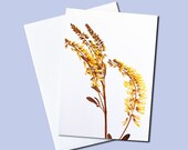 8 Miniature Note Cards-Paper Goods-Blank stationery-Scotch broom yellow spring summer flower gift tag art card