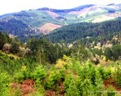 View from Oregon- Fine Art Photograph- 8X10