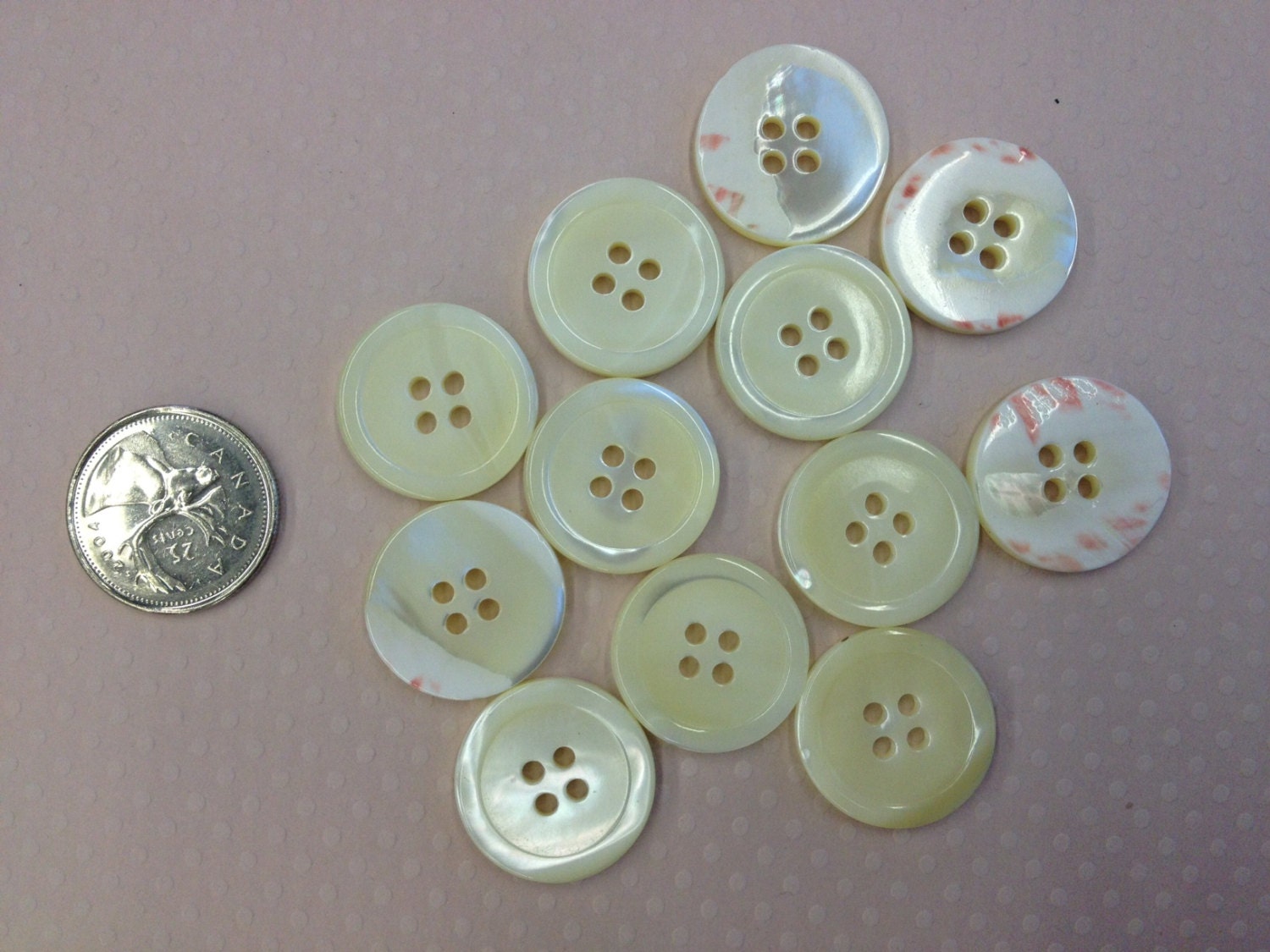 1 Dozen Pearlescent Rimmed 4-Hole Mother of Pearl Buttons