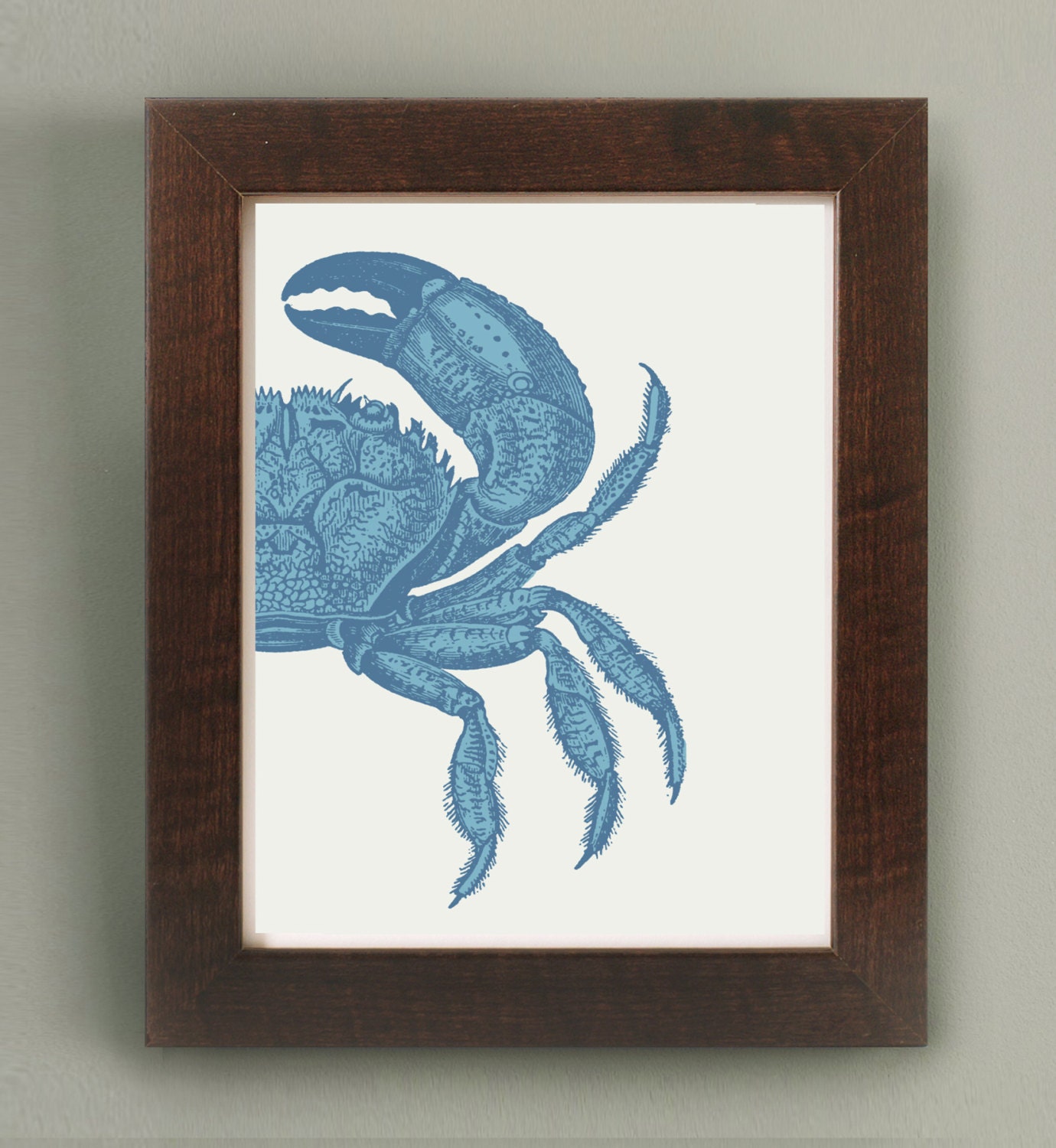 Vintage print, Blue crab, marine life engraving, Antique illustration, vintage natural history, 8 x 10/A4 Giclee print