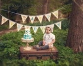 Happy Birthday Flags, Bunting, Banner, Party Garland. Boy Themed, One of a Kind, Made to Order.