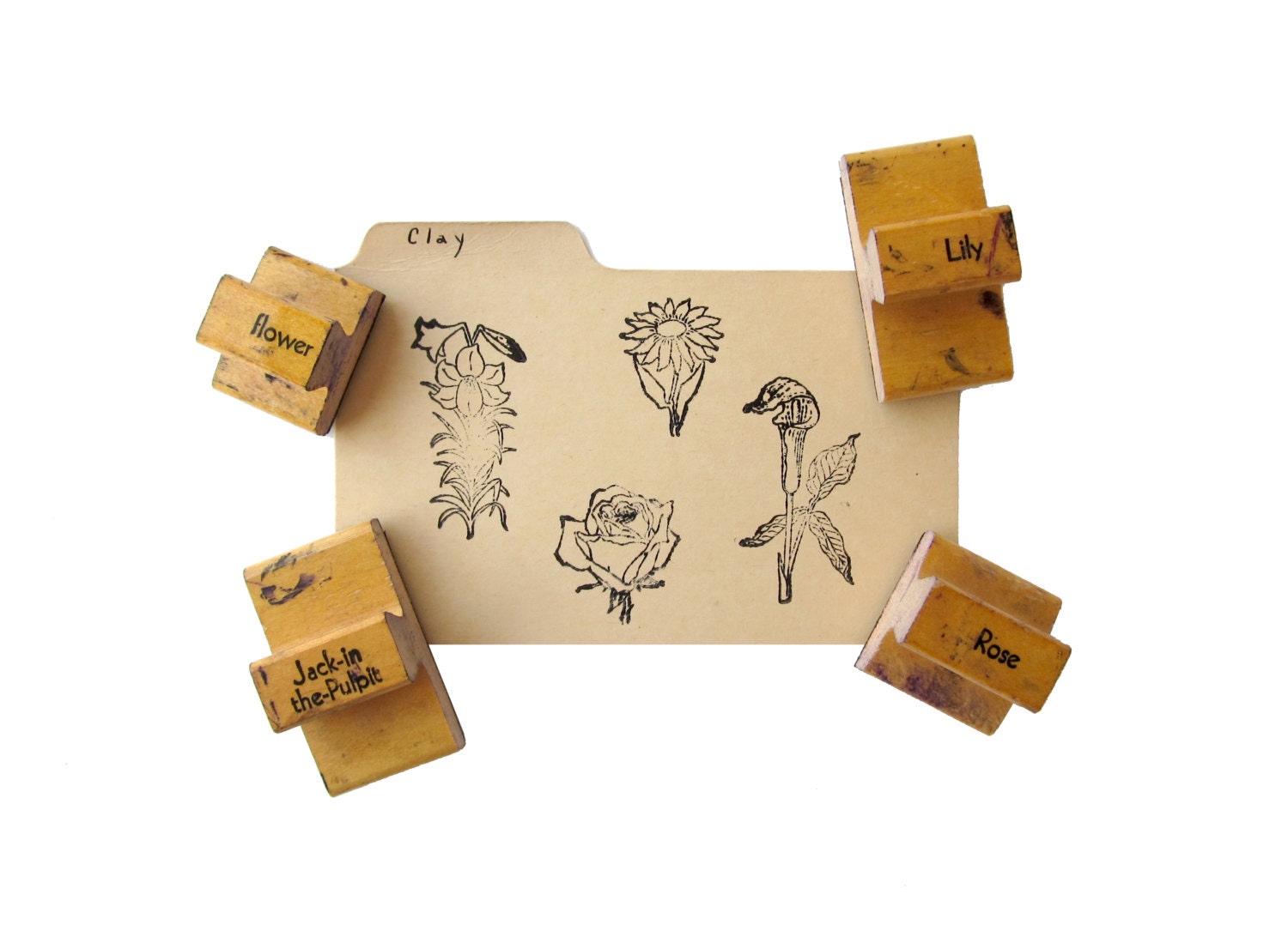 Vintage FLOWERS Garden Rubber Stamps - Set of 4 for Scrapbooking, Crafts and More