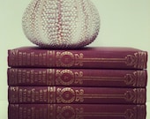 Spring Wedding,Restoration Hardware,Table Setting,Bridal Shower,Centerpiece,Table Decoration,Ornate Books