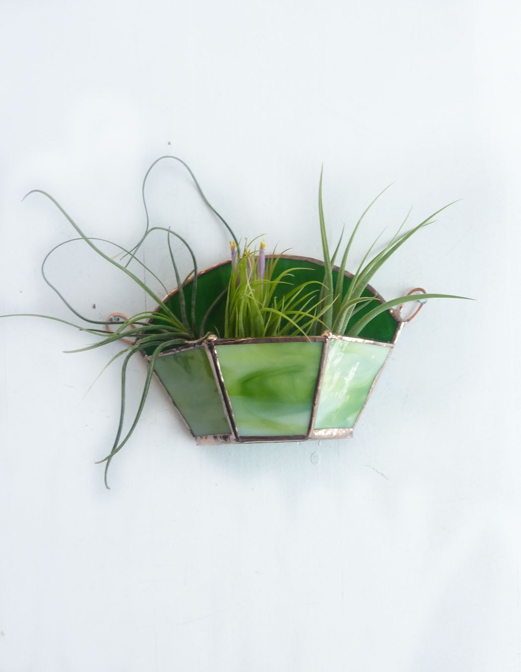 Stained Glass Planter for Air Plants -  Fresh Green