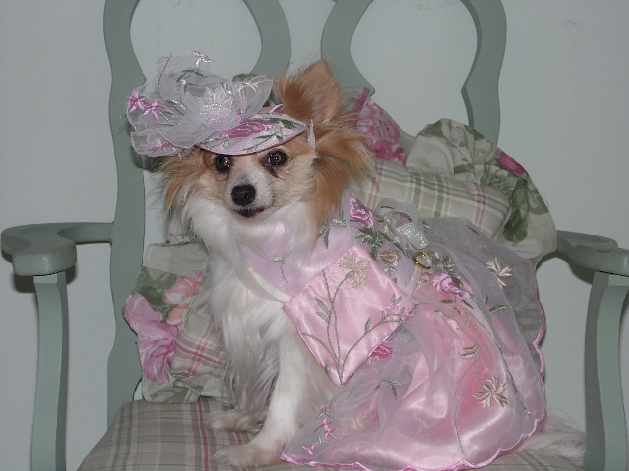 CUSTOM ORGANZA BRIDESMAID dog dress - Wedding or Special Occasion - Prom - Check on timing and fabrics- made to order up to 20 lbs