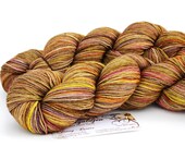 Garden Gate--hand dyed sock yarn, BFL and nylon, (464yds/100gm)
