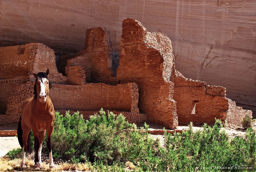 Horse Photography -Cliff Dwelling -8x12 Print -Southwestern Decor -Photography Gift -Colorado Fine Art Photography
