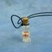 Cuttlefish Specimen Jar Necklace - Handmade Science Jewelry
